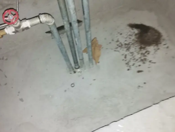 蠡县卫生间测漏水价格明细