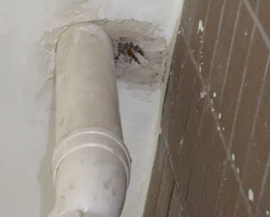 蠡县漏水检测哪家好